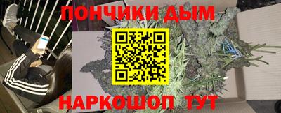 сатива Кингисепп