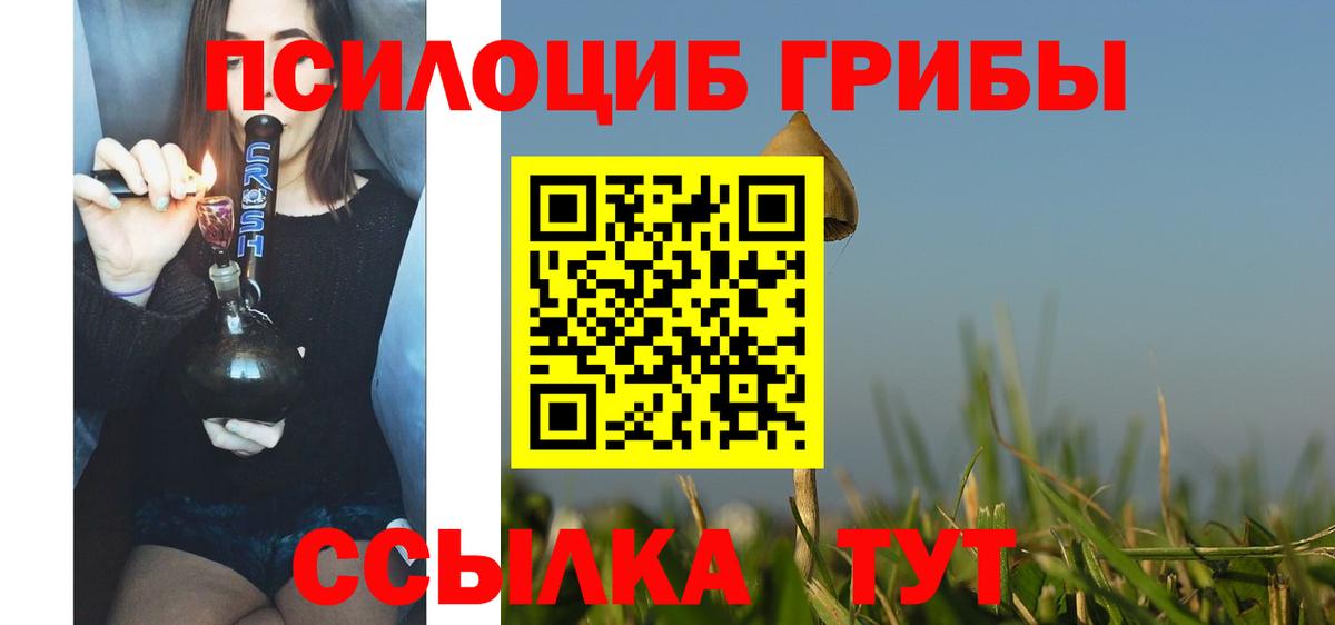 Красноярск  Псилоцибиновые грибы GOLDEN TEACHER  Вход с VPN 